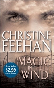 Book Cover for Magic in the Wind