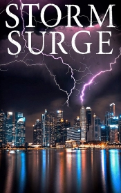 Book Cover for Storm Surge Book Cover for Storm Surge