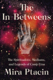 Book Cover for The In-Betweens Book Cover for The In-Betweens