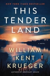 Book Cover for This Tender Land