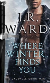 Book Cover for When Winter Finds You