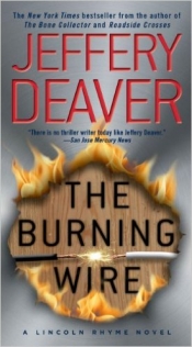 Book Cover for The Burning Wire