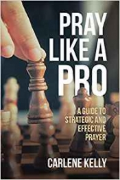 Book Cover for Pray Like A Pro Book Cover for Pray Like A Pro