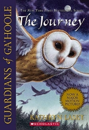 Book Cover for The Journey Book Cover for The Journey