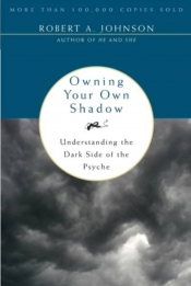 Book Cover for Owning Your Own Shadow