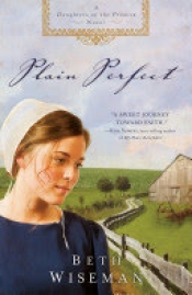 Book Cover for Plain Perfect Book Cover for Plain Perfect
