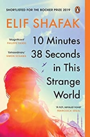 Book Cover for 10 minutes 38 seconds in this strange world