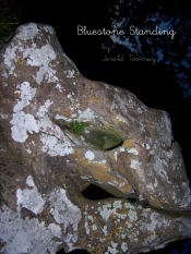 Book Cover for Bluestone Standing