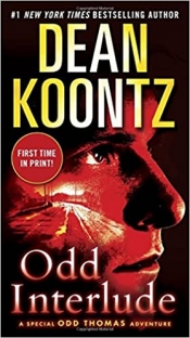 Book Cover for Odd Interlude