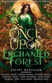 Book Cover for Once Upon an Enchanted Forest