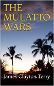 Book Cover for The Mulatto Wars