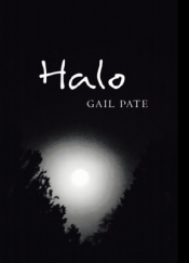 Book Cover for Halo