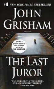 Book Cover for The last jury