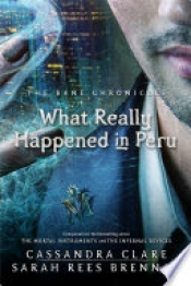 Book Cover for What Really Happened in Peru