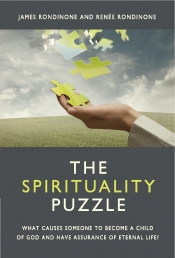 Book Cover for The Spirituality Puzzle