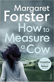 Book Cover for How to Measure a Cow Book Cover for How to Measure a Cow