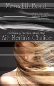 Book Cover for Air Book Cover for Air