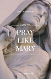 Book Cover for How to Pray Like Mary