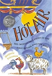 Book Cover for Hot Air