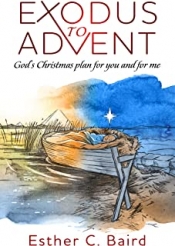 Book Cover for Exodus to Advent Book Cover for Exodus to Advent