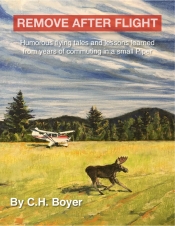 Book Cover for Remove After Flight Book Cover for Remove After Flight