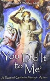 Book Cover for You Did It to Me Book Cover for You Did It to Me