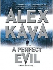 Book Cover for A Perfect Evil