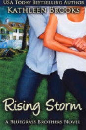 Book Cover for Rising Storm Book Cover for Rising Storm