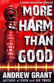 Book Cover for More Harm Than Good Book Cover for More Harm Than Good