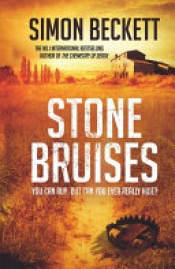 Book Cover for Stone Bruises