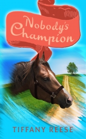Cover for Nobody's Champion