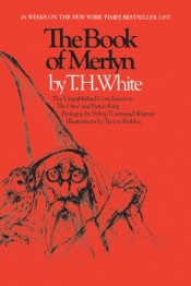 Book Cover for The Book of Merlyn