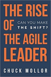 Book Cover for The Rise of the Agile Leader: Can You Make the Shift?