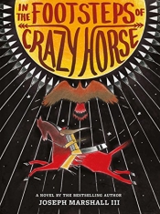 Book Cover for In the Footsteps of Crazy Horse