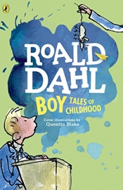 Book Cover for Boy