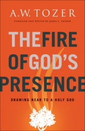 Book Cover for The Fire of God's Presence