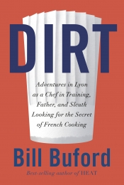 Book Cover for Dirt