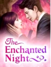 Book Cover for The enchanted night