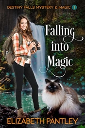 Book Cover for Falling into Magic