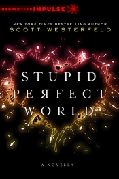 Book Cover for Stupid Perfect World Book Cover for Stupid Perfect World