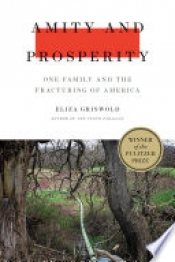 Book Cover for Amity and Prosperity