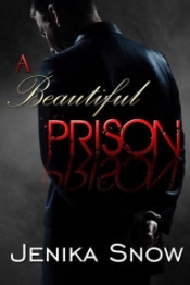 Book Cover for A Beautiful Prison Book Cover for A Beautiful Prison