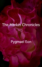 Cover for The Merkin Chronicles