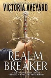 Book Cover for Realm Breaker Book Cover for Realm Breaker