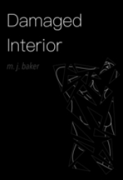 Book Cover for Damaged Interior