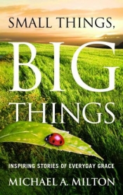 Book Cover for Small Things, Big Things Book Cover for Small Things, Big Things