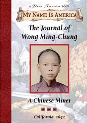Book Cover for The Journal of Wong Ming-Chung Book Cover for The Journal of Wong Ming-Chung