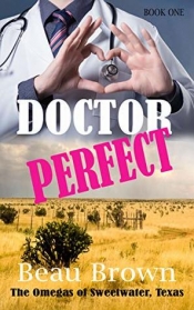 Book Cover for Doctor Perfect