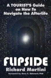 Book Cover for Flipside Book Cover for Flipside