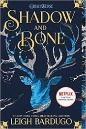 Book Cover for shadow and bones